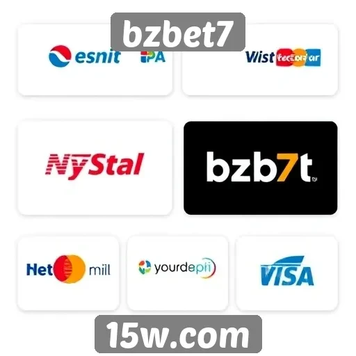 Métodos de pagamento suportados pelo bzbet7